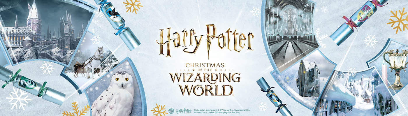 Christmas in the Wizarding World / Scopri ora!