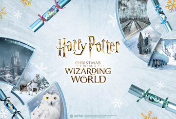 Christmas in the Wizarding World / Scopri ora!
