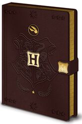 Quidditch - Premium Notebook