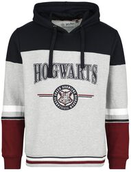 Hogwarts - Made in England, Harry Potter, Felpa con cappuccio