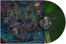 The outer ones, Revocation, LP