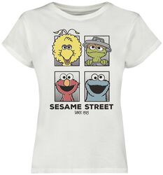 Friends, Sesame Street, T-Shirt