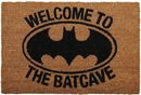 Welcome to the Batcave, Batman, Zerbino