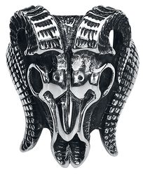 Ram's Skull, etNox hard and heavy, Anello