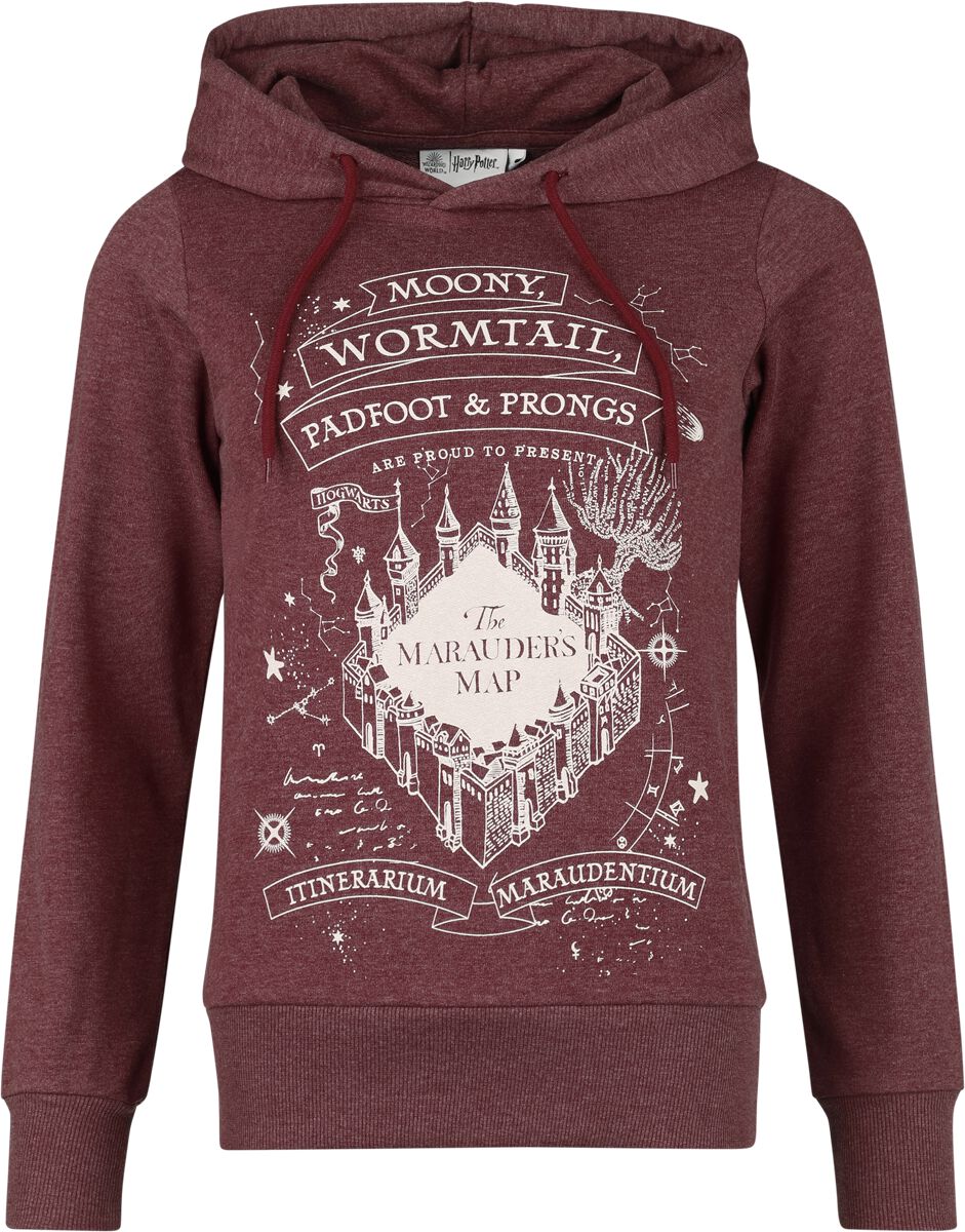 Quidditch Gryffindor Hoodie Primark Harry Potter Gryffindor Hoodie