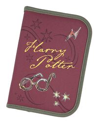 Harry Potter, Harry Potter, Custodia