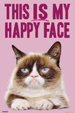 Happy Face, Grumpy Cat, Poster