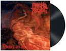 Blessed are the sick, Morbid Angel, LP