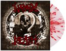 Smear campaign, Napalm Death, LP