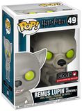 Remus Lupin as Werewolf Vinyl Figure 49, Harry Potter, Funko Pop!