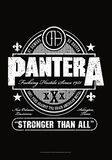 Beer Label, Pantera, Bandiera