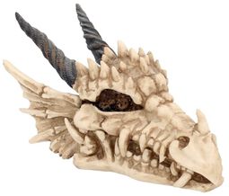 Dragon Skull Box, Nemesis Now, Articoli Decorativi
