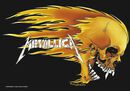 Skull & Flames, Metallica, Bandiera