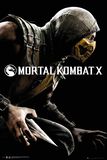 Mortal Kombat X - Cover, Mortal Kombat, Poster