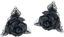 Black Rose Ear Studs, Alchemy Gothic, Set di orecchini