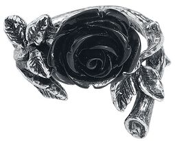 Wild Black Rose Ring, Alchemy Gothic, Anello