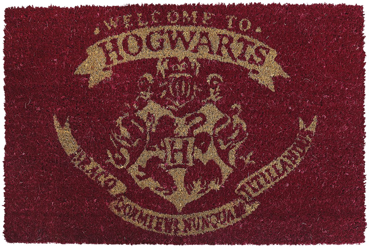 Welcome To Hogwarts, Harry Potter Zerbino