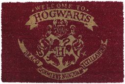 Welcome To Hogwarts, Harry Potter, Zerbino