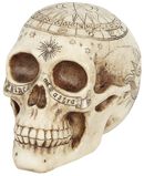 Astrological Skull, Nemesis Now, Teschio
