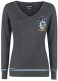 Ravenclaw, Harry Potter, Maglione