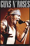 Axel Rose, Guns N' Roses, Poster