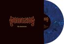 The Somberlain, Dissection, LP