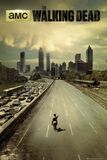 City, The Walking Dead, Poster