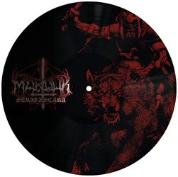 Strigzcara warwolf live 1993, Marduk, LP
