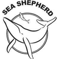 Certificato di sostenibilit&agrave;